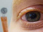 LCD joins LED display tech in contact lens format