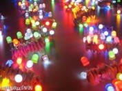 LED lights "shimmer" in Christmas parade